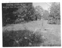 img-aisle_of_pines.1912.jpg img-aisle_of_pines.1912.jpg