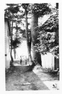 img-central_point.1940.jpg