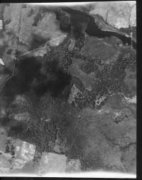 img-fairchild9383.jpg img-fairchild9383.jpg