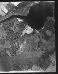 img-fairchild9398.jpg img-fairchild9398.jpg