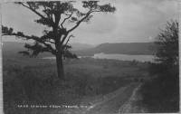 img-lamoka_from_tyrone.jpg img-lamoka_from_tyrone.jpg