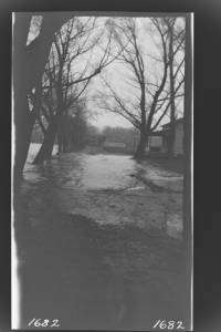 img-nyseg.1682.jpg