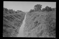 img-nyseg.1891.jpg img-nyseg.1891.jpg