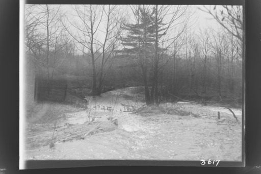 img-nyseg.3617.jpg img-nyseg.3617.jpg