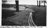 img-the_elms.12.jpg img-the_elms.12.jpg