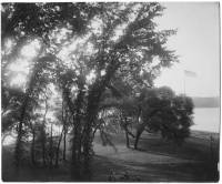 img-the_elms.14.jpg img-the_elms.14.jpg