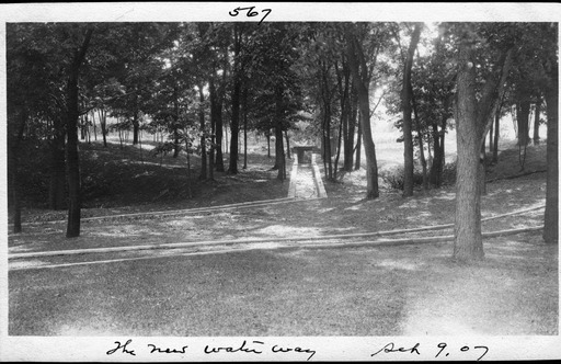 img-the_elms.8.jpg img-the_elms.8.jpg