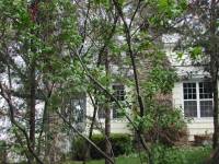 img-the_elms_house.211.jpg img-the_elms_house.211.jpg