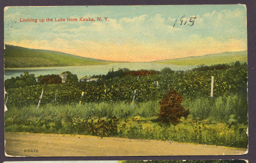 img-unidentified_vineyard.jpg img-unidentified_vineyard.jpg