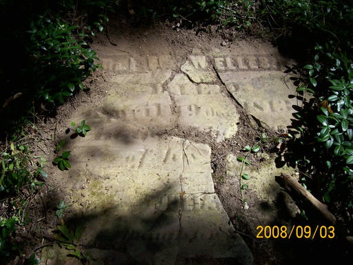 img-welles-louck_cemetery.2008c.jpg img-welles-louck_cemetery.2008c.jpg